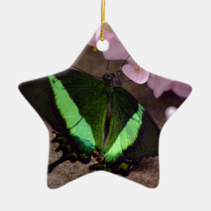 Butterfly Ceramic Ornament