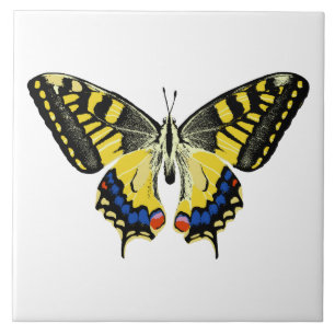 Butterfly Ceramic Tile