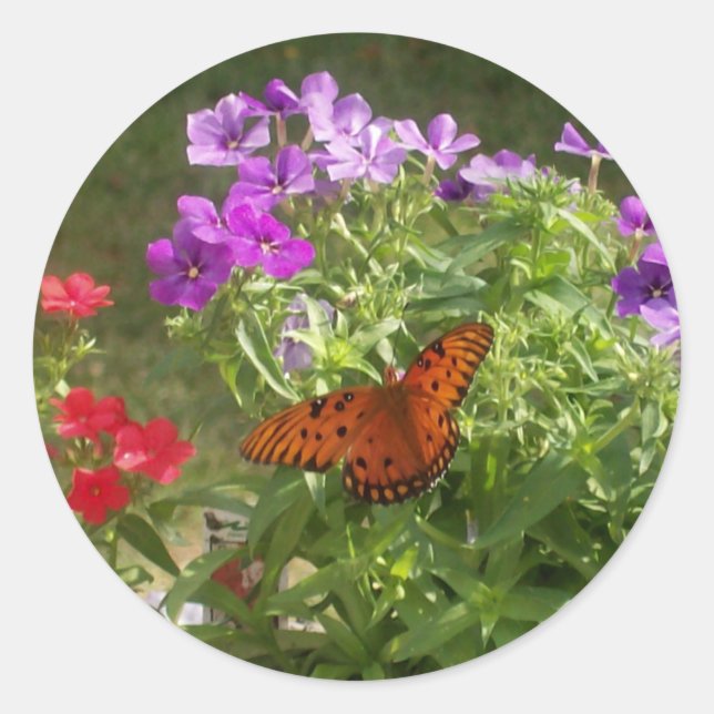 Butterfly Classic Round Sticker (Front)