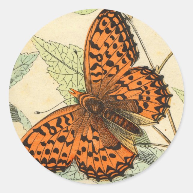Butterfly Classic Round Sticker (Front)