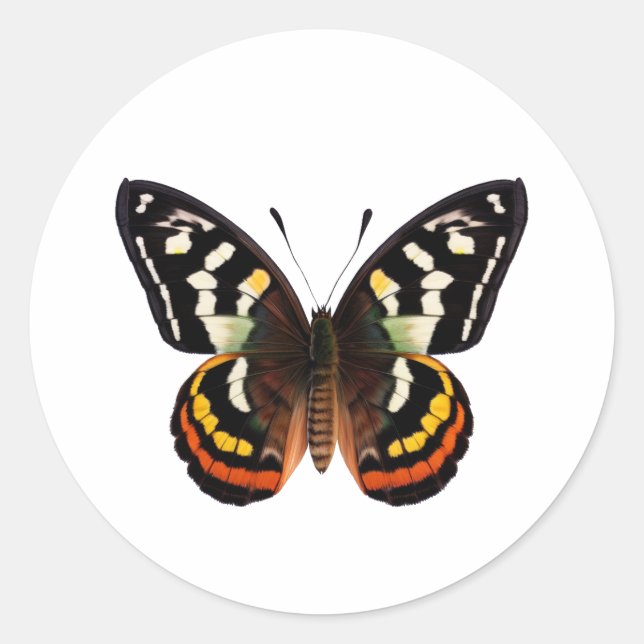 Butterfly Classic Round Sticker (Front)