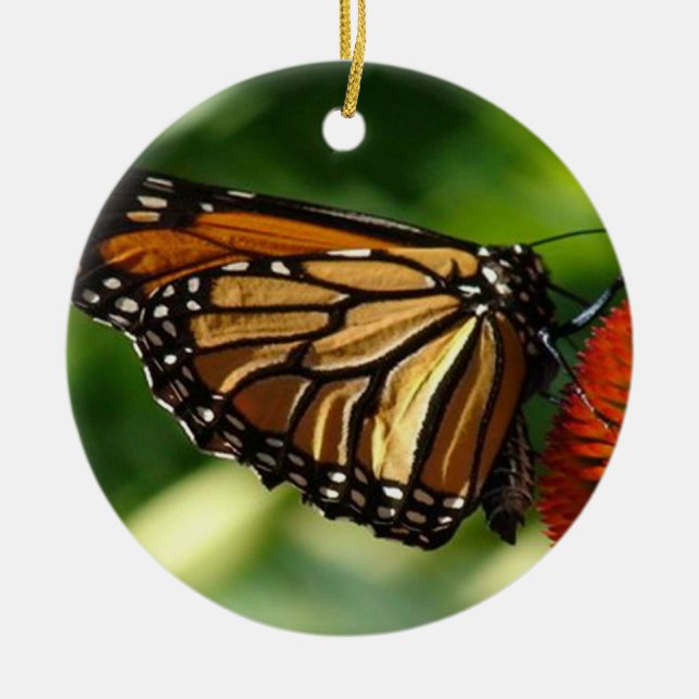 Butterfly close up ceramic tree decoration (Front)