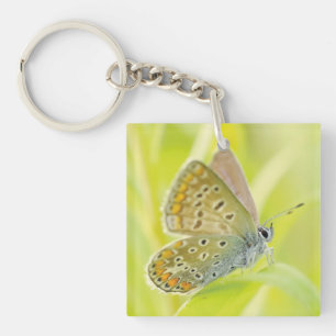 Butterfly Close-Up Key Ring