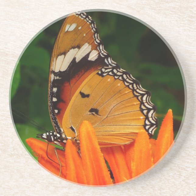 Butterfly Coaster (Front)