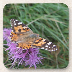 Butterfly Coasters