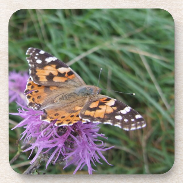 Butterfly Coasters (Front)