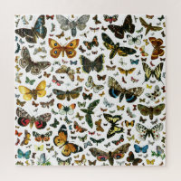 Butterfly Collage - scores of butterflies & moths