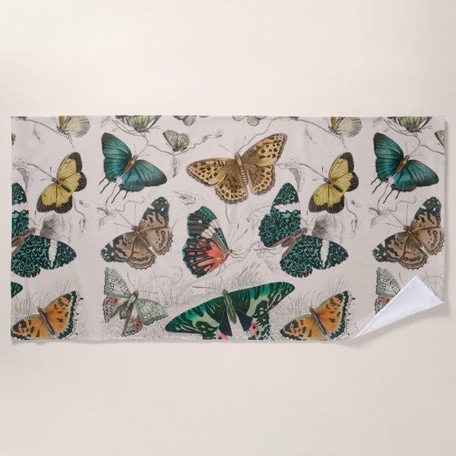Butterfly Collection Antique Butterflies Beach Towel (Front)
