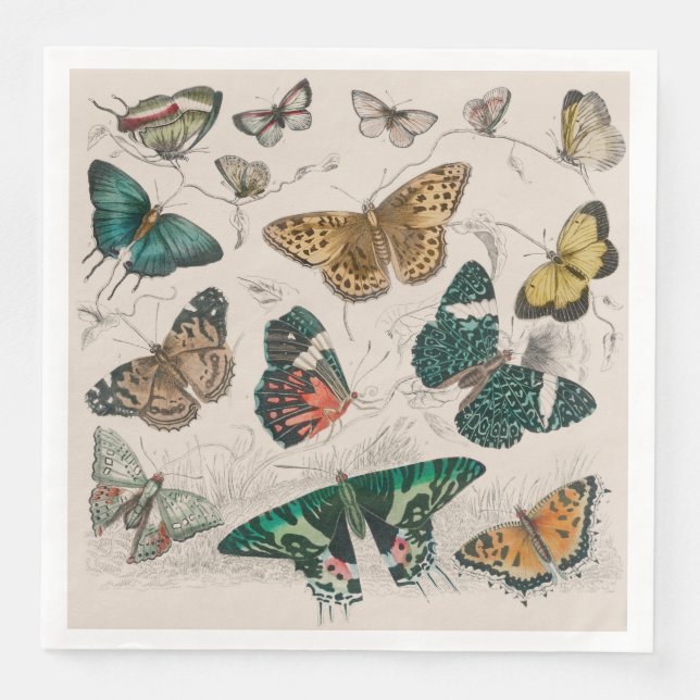 Butterfly Collection Antique Butterflies Napkin (Front)