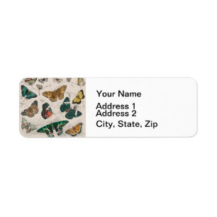 Butterfly Collection Antique Butterflies Return Address Label