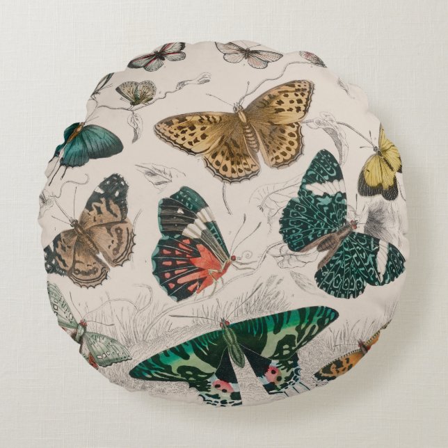 Butterfly Collection Antique Butterflies Round Cushion (Front)