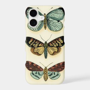 Butterfly Collection by Chariklia Zarris