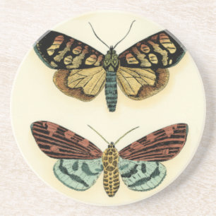 Butterfly Collection by Chariklia Zarris Coaster