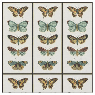 Butterfly Collection by Chariklia Zarris Fabric