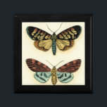 Butterfly Collection by Chariklia Zarris Gift Box<br><div class="desc">This painting by Chariklia Zarris is a lepidopterists' dream! An amazingly detailed print of a butterfly collection,  this piece is stunning in its use of colour. Get your copy today!</div>
