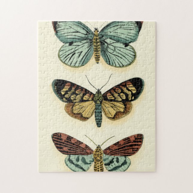 Butterfly Collection by Chariklia Zarris Jigsaw Puzzle (Vertical)