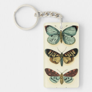 Butterfly Collection by Chariklia Zarris Key Ring