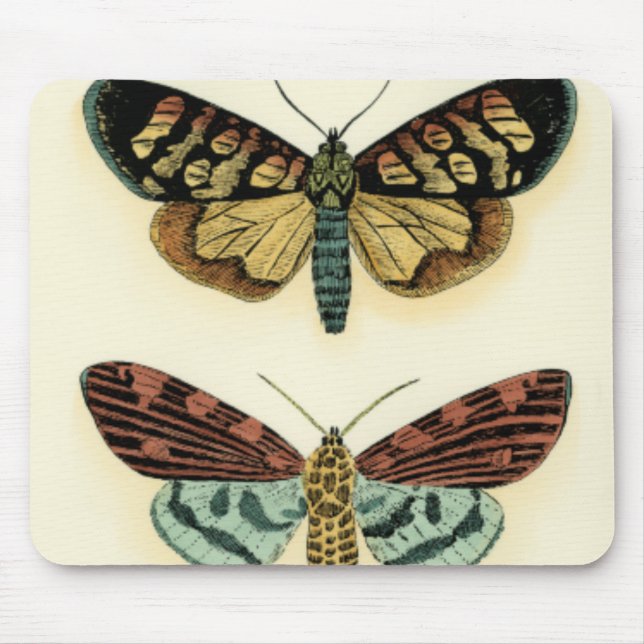 Butterfly Collection by Chariklia Zarris Mouse Pad (Front)