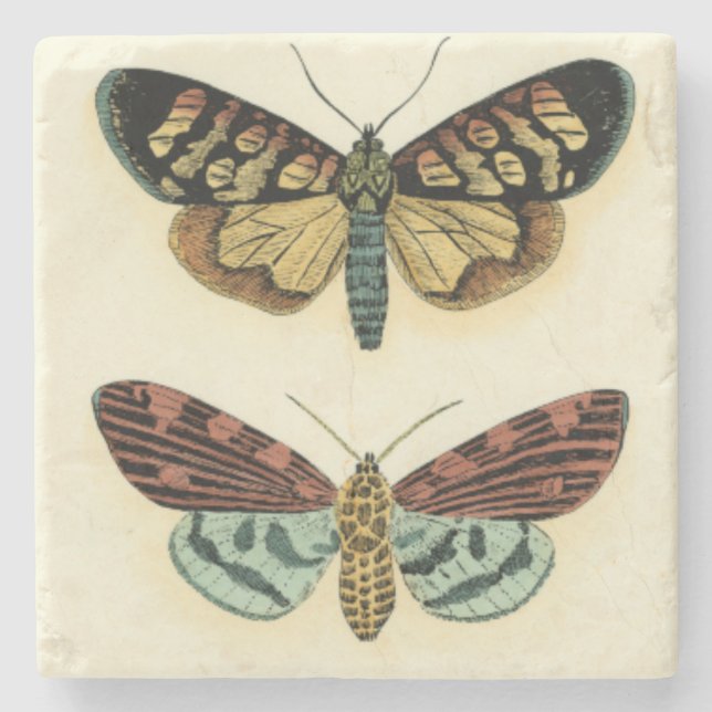 Butterfly Collection by Chariklia Zarris Stone Coaster (Front)