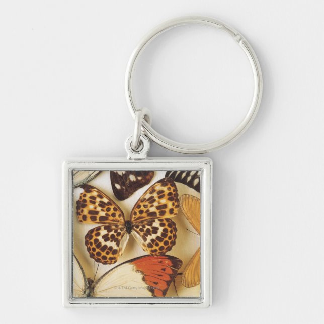 Butterfly collection key ring (Front)
