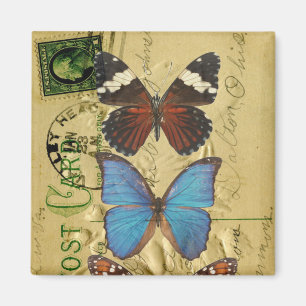 Butterfly collection magnet