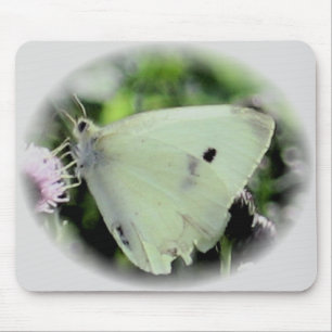 Butterfly Collection Mouse Pad