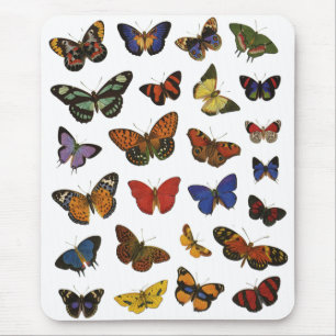Butterfly Collection Mouse Pad
