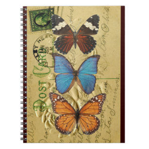 Butterfly collection notebook