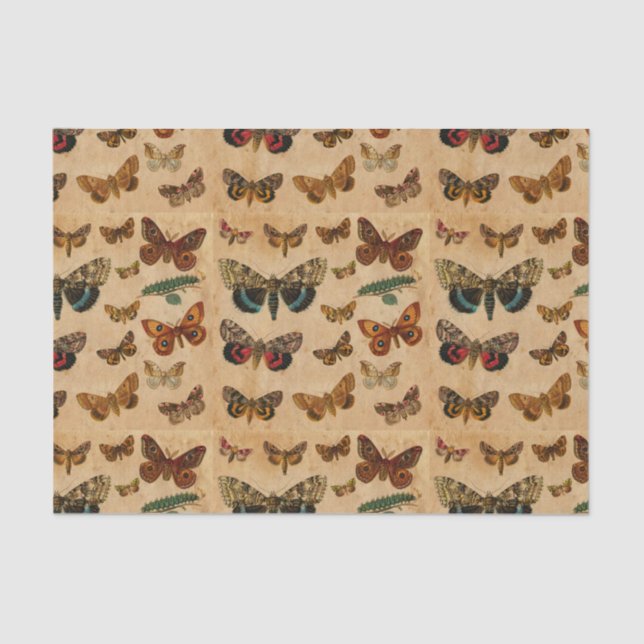 Butterfly Collection Vintage Stained Paper Pattern (Front)