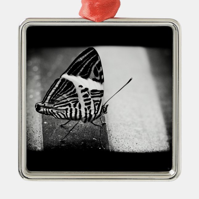 butterfly crossing metal tree decoration (Front)