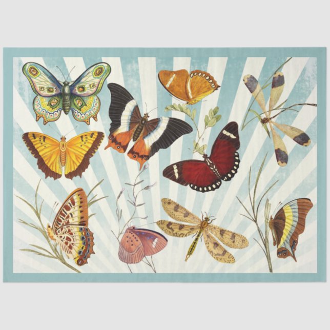 butterfly cut out and collage tissue paper (Front)