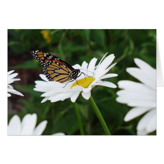 Butterfly Daisy Card
