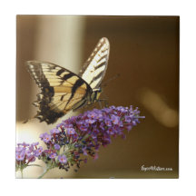 Butterfly Decorative Tile