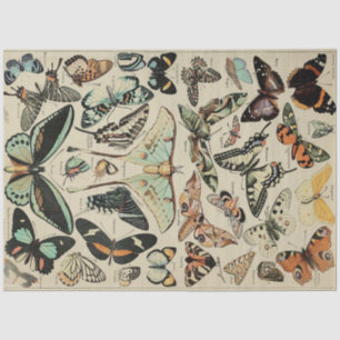 Butterfly Decoupage Tissue Paper