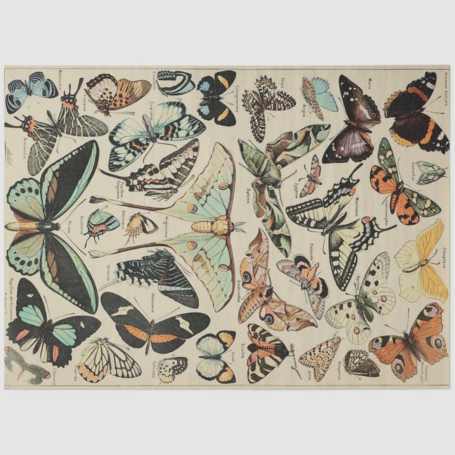 Butterfly Decoupage Tissue Paper (Front)