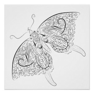 butterfly drawing adult colouring poster