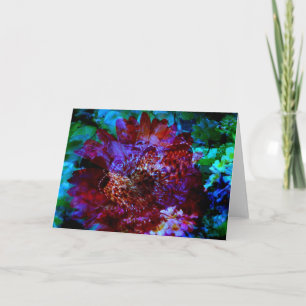 Butterfly Dream Card