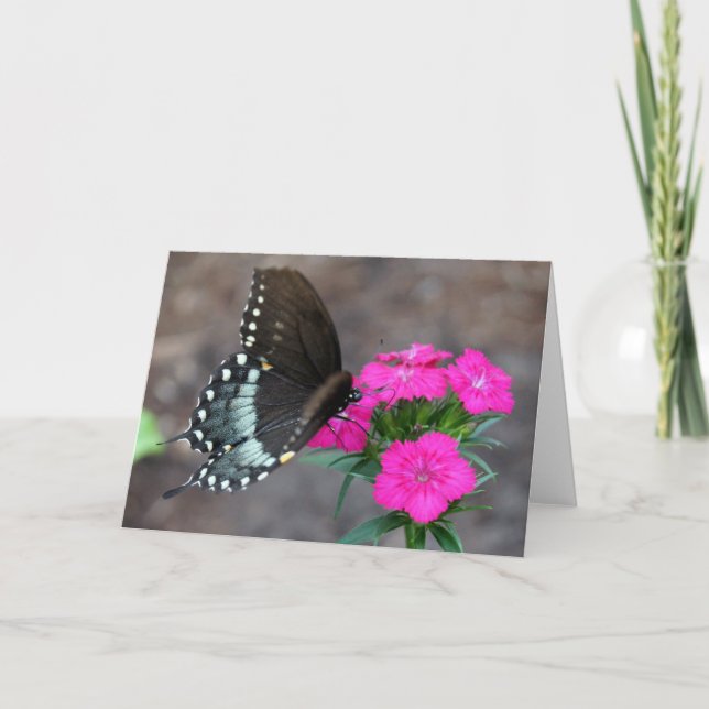 Butterfly Dreaming Card (Front)