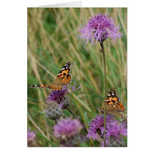 Butterfly Dreams Card