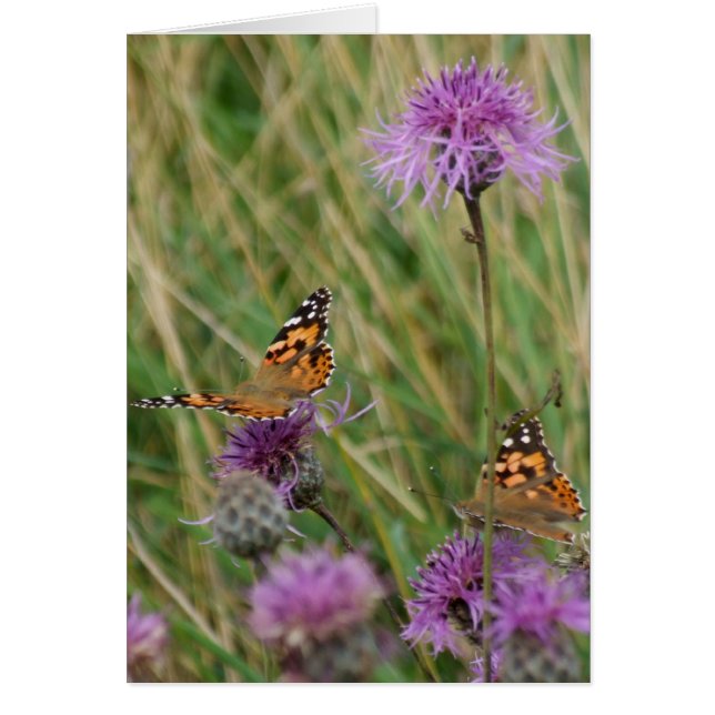 Butterfly Dreams Card (Front)