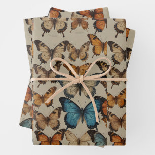 Butterfly Dreams: Elegant butterfly wrapping warp Paper Sheet