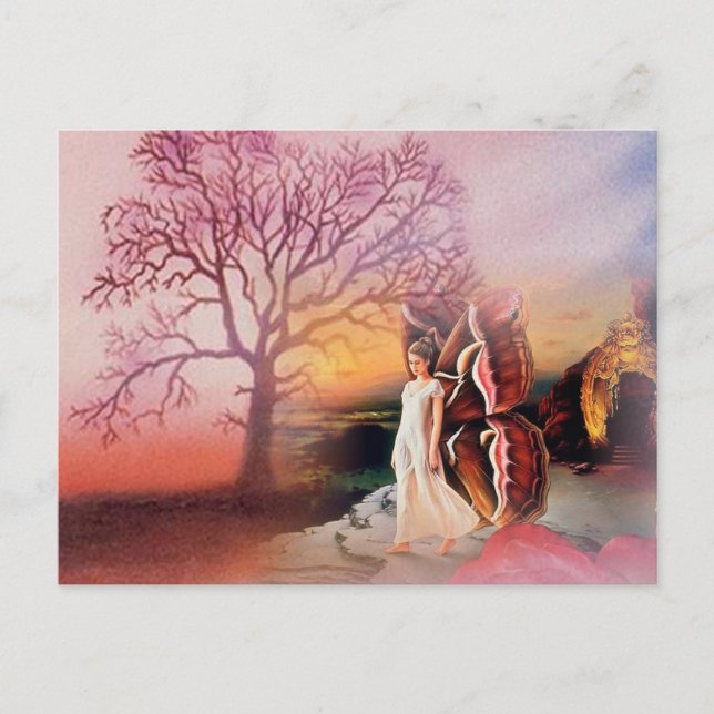 Butterfly Dreams Postcard (Front)