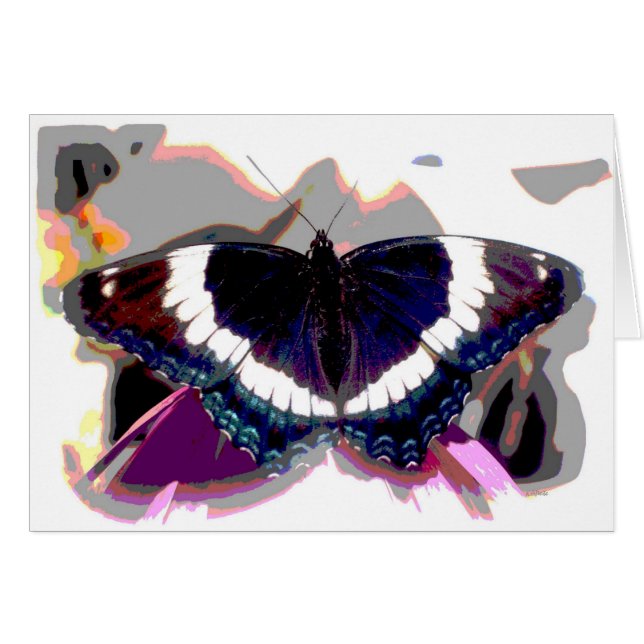 Butterfly Effect (Front Horizontal)