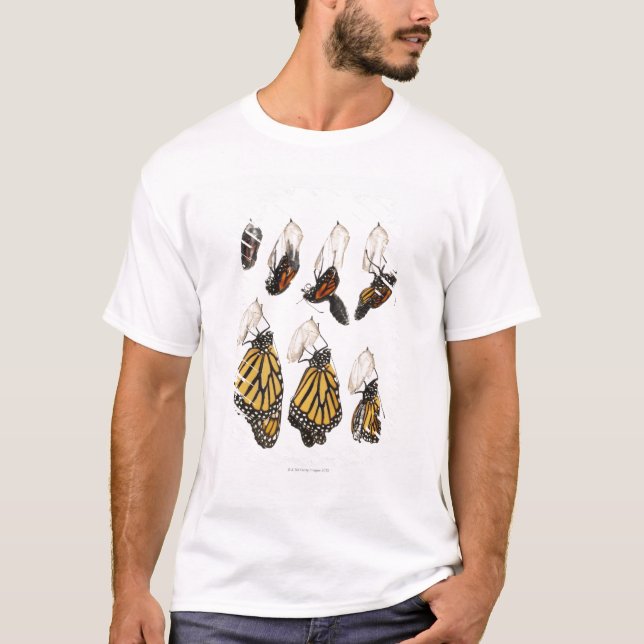 Butterfly emerging from coccoon T-Shirt (Front)