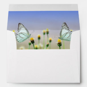 Butterfly envelope