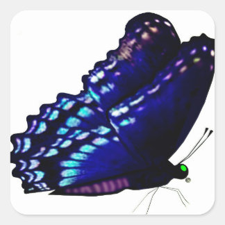 Butterfly Envelope Seals