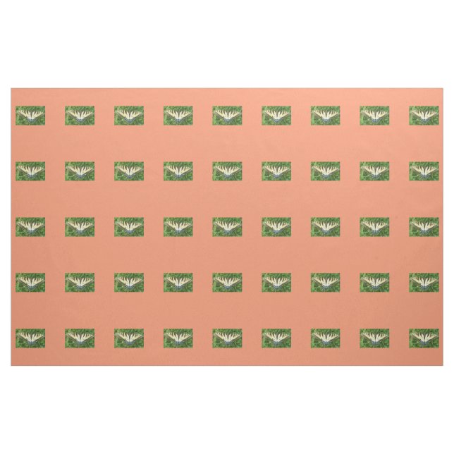 Butterfly Fabric (Yard)