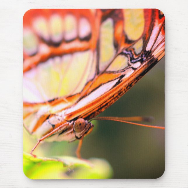 Butterfly Face Nature  Mouse Pad (Front)