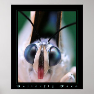 Butterfly Face Poster