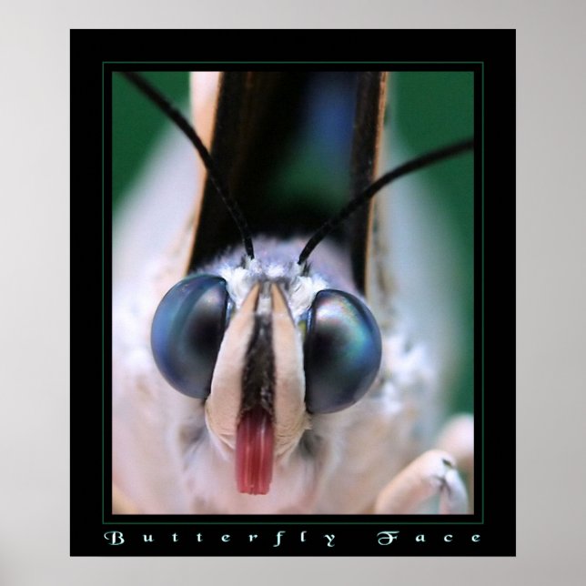 Butterfly Face Poster (Front)
